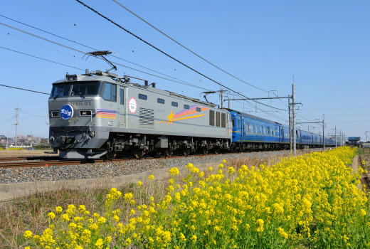 821753 (a): :1920x1290